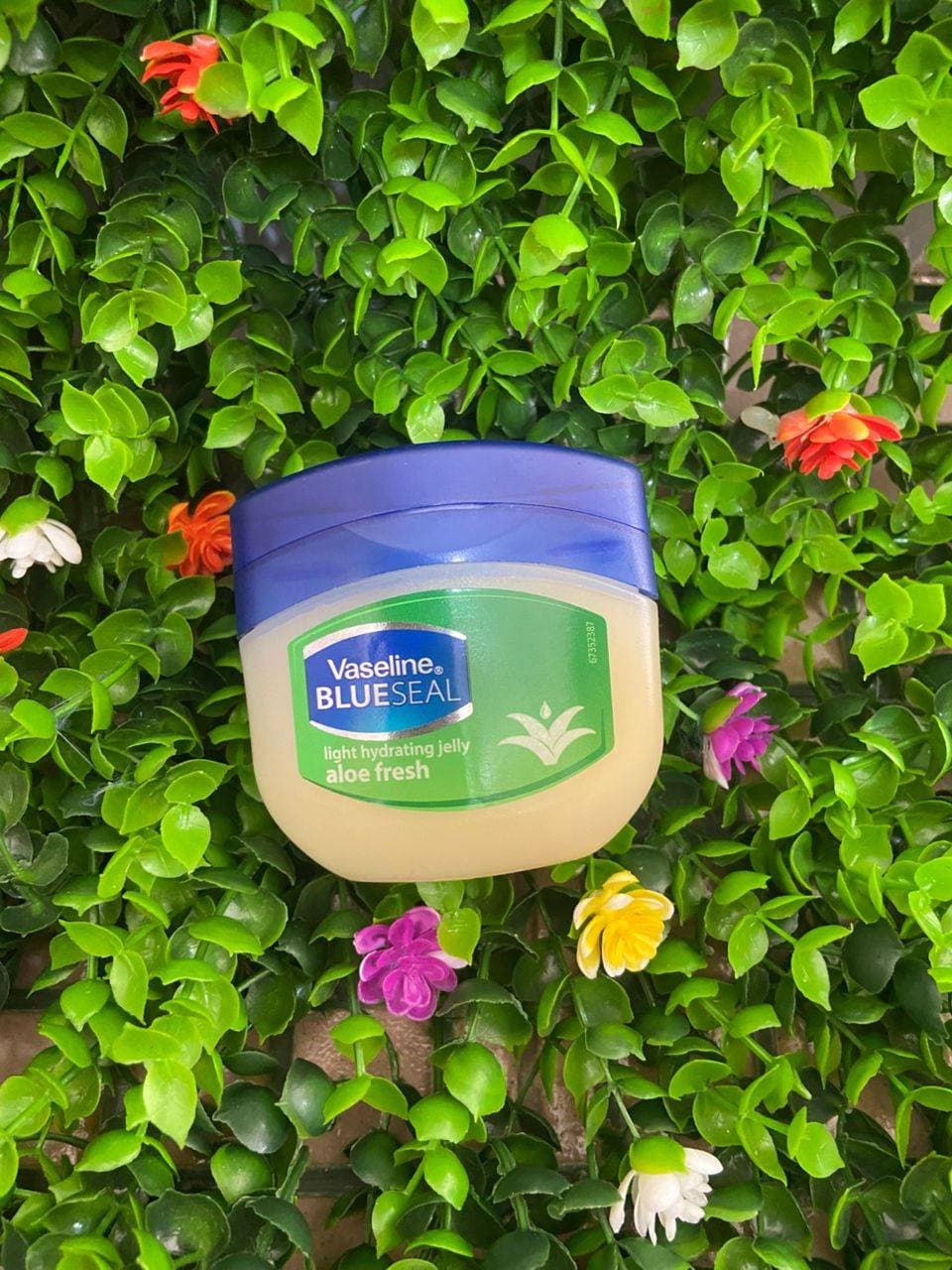 Baume Vaseline  100ml aloe vera
