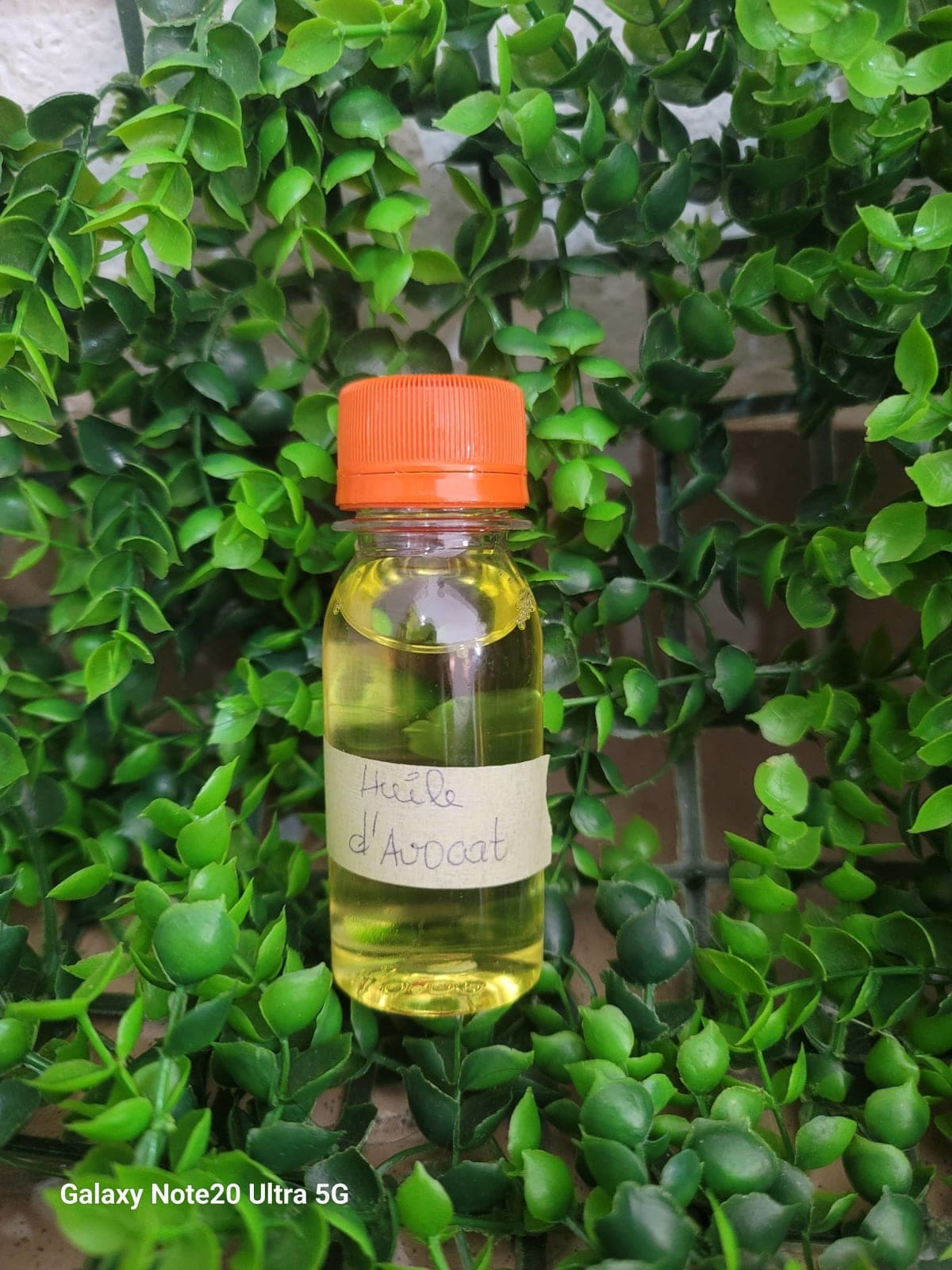Huile avocat  60ml — vue 1